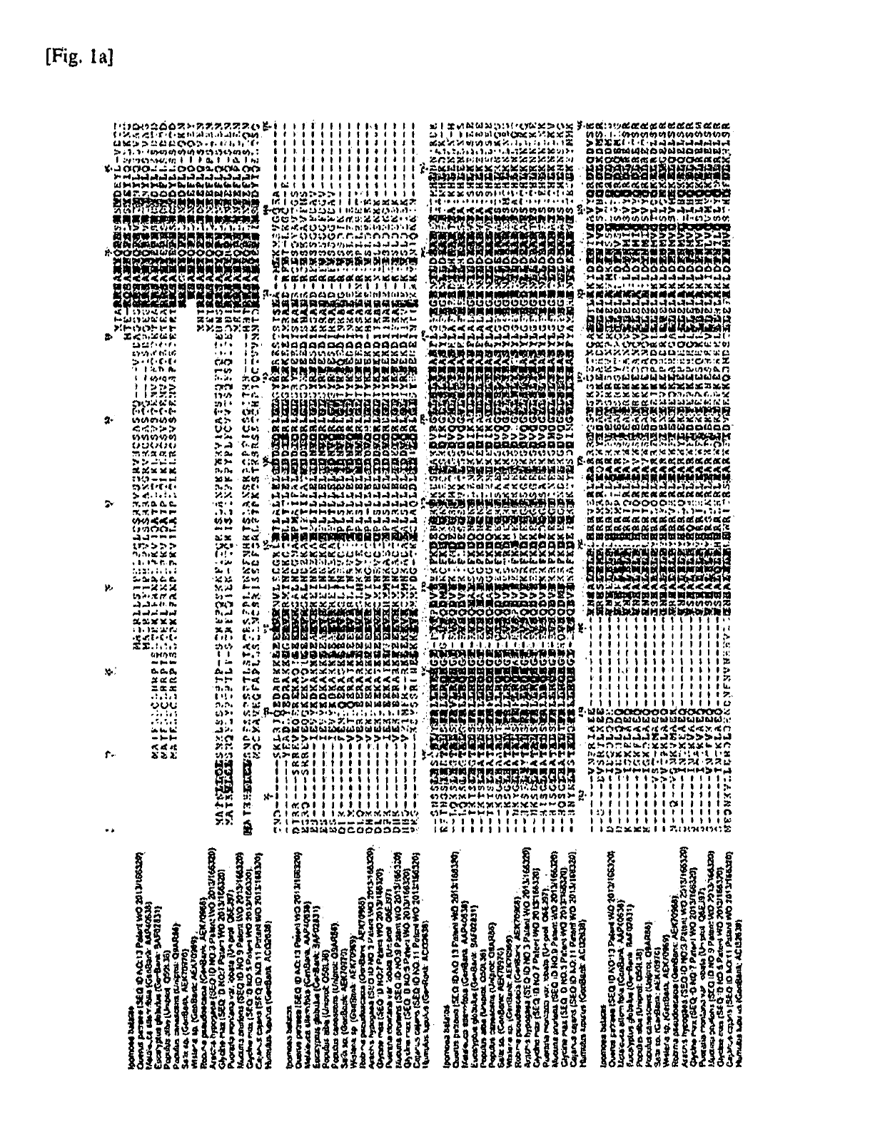 Isoprene synthase and method of preparing isoprene using thereof