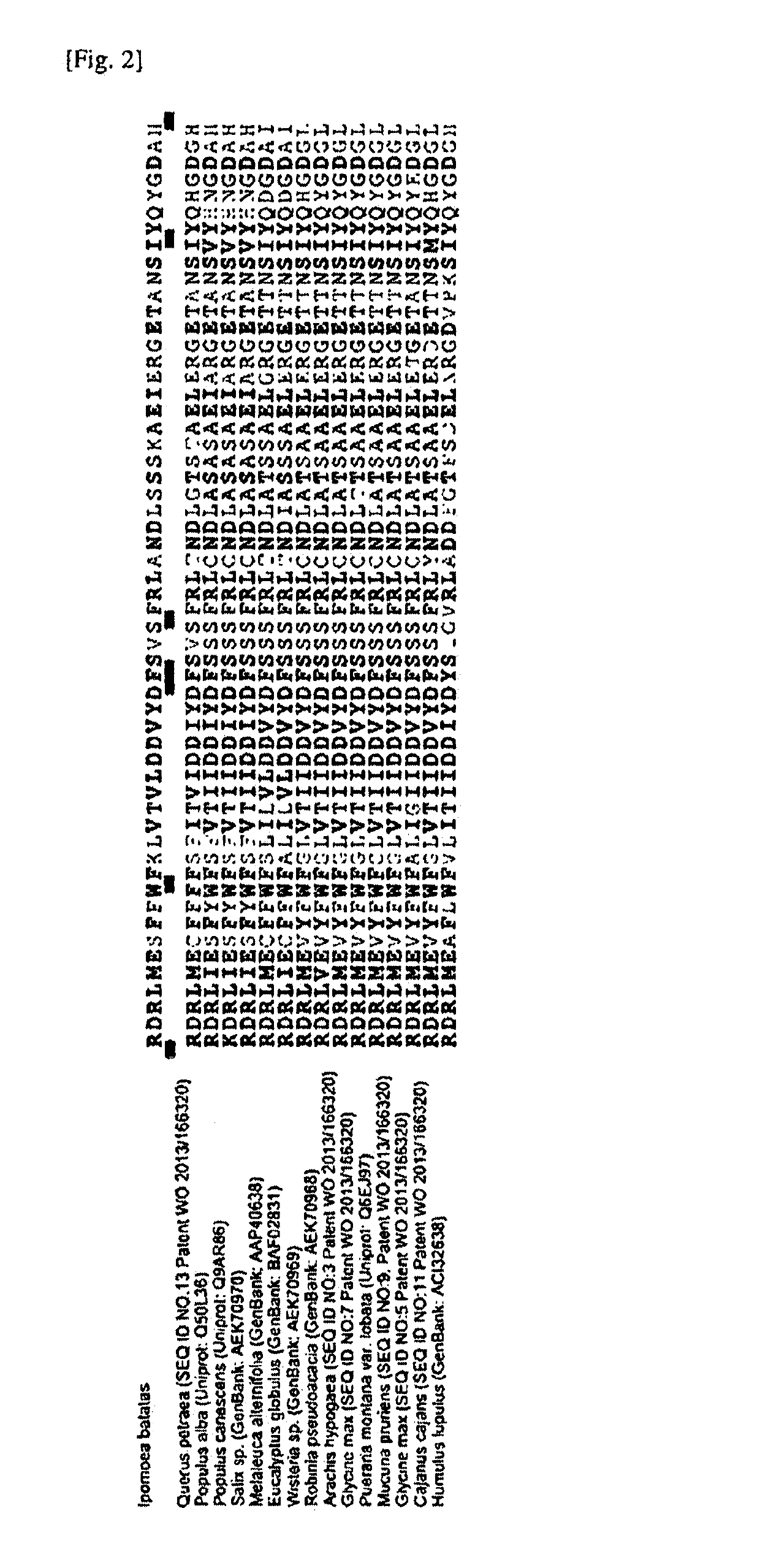 Isoprene synthase and method of preparing isoprene using thereof