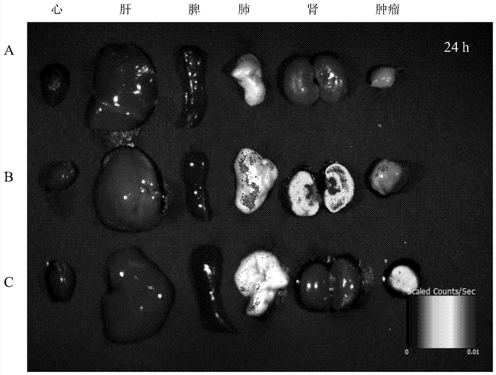 Polymersome with hydrophilic lumen carrying anthracene ring medicines as well as preparation method and application