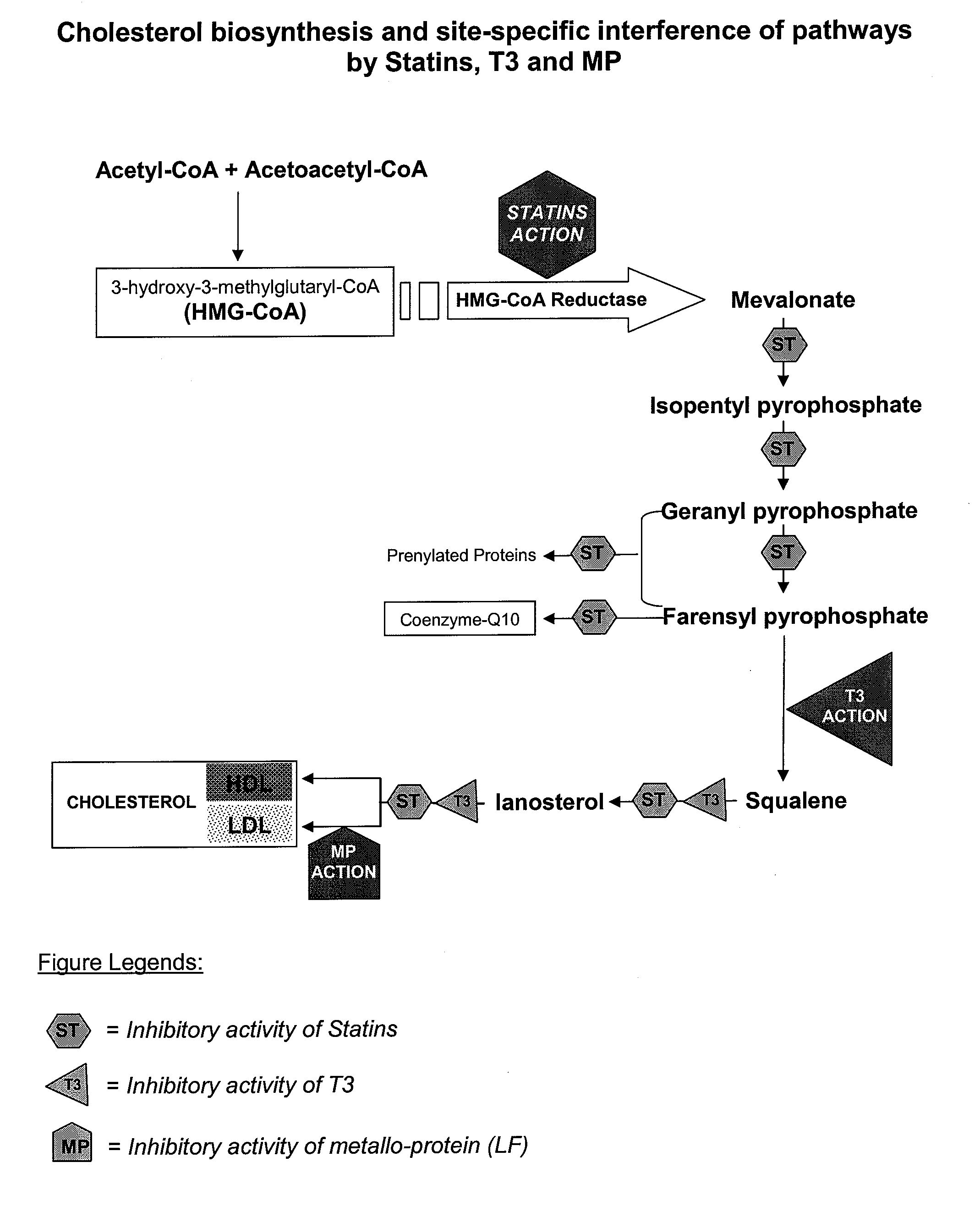 Metallo-protein and tocotrienol (mp-t3) compositions and uses thereof