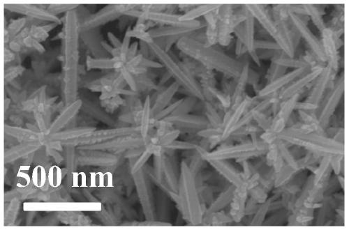 A preparation method of rh nanocrystals functionalized with hippocampus tail-shaped phosphonic acid