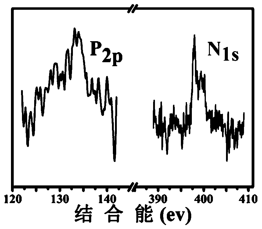 A preparation method of rh nanocrystals functionalized with hippocampus tail-shaped phosphonic acid