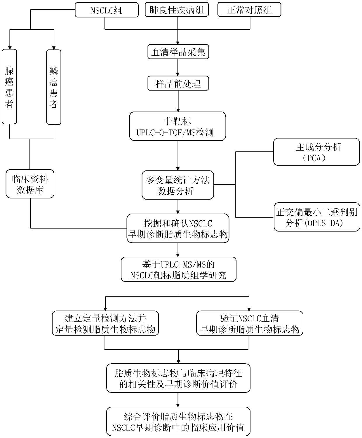 Application method of serum lipid biomarker in NSCLC early diagnosis