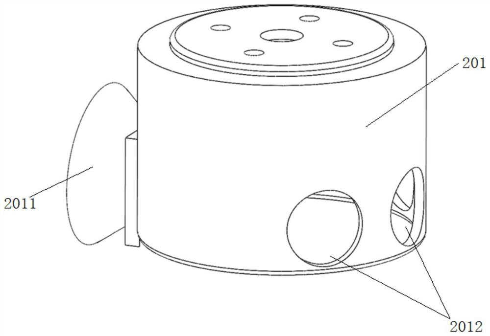 Underwater fish automatic screening system