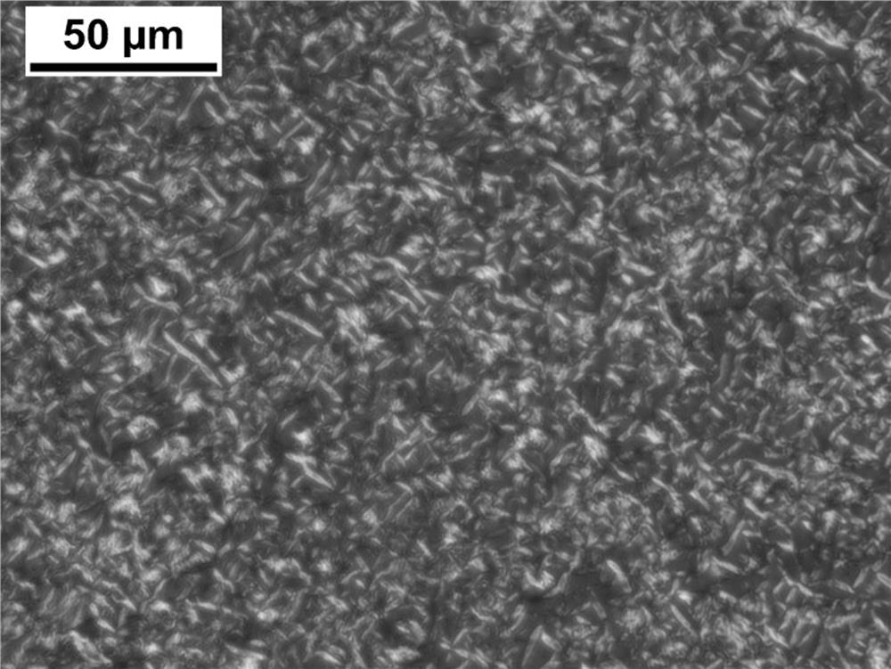 Quaternary ammonium salt side chain liquid crystal ionomer containing oxazole group and preparation method thereof