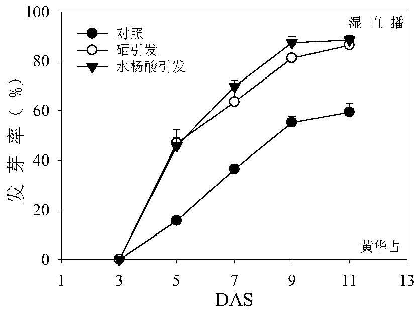 A seed treatment method for improving seedling emergence rate of direct-seeding early rice under low temperature stress