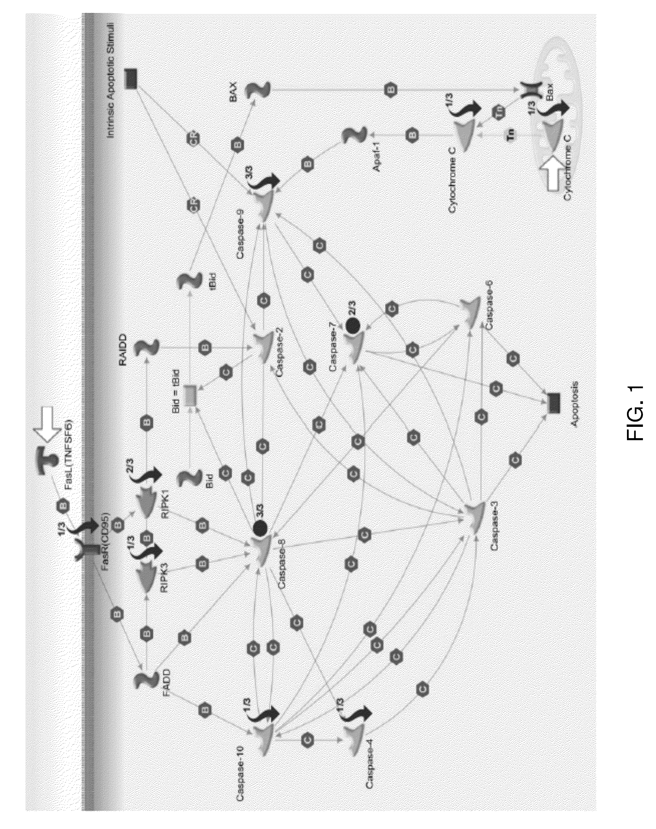 Methods for the treatment of cancer