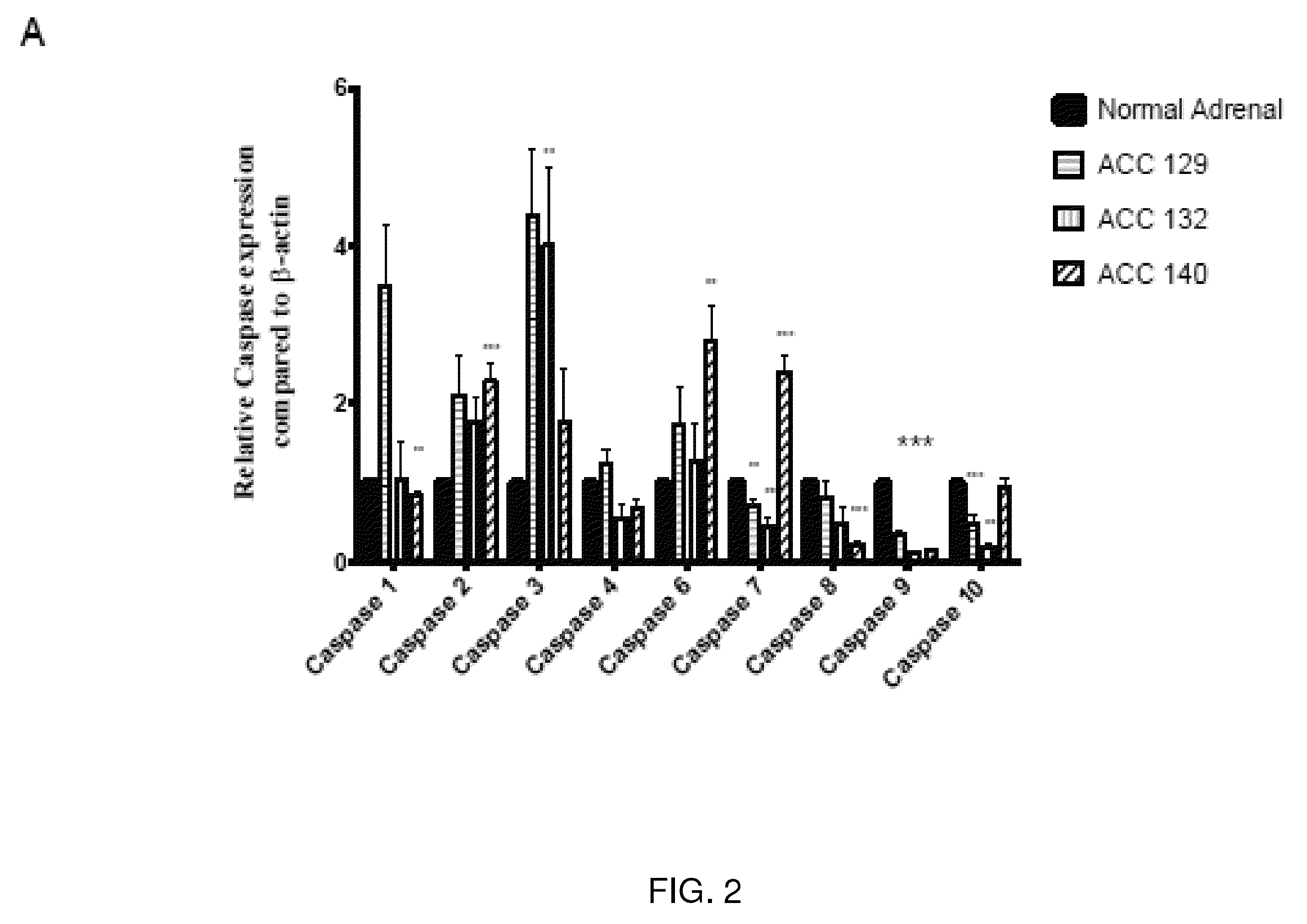 Methods for the treatment of cancer