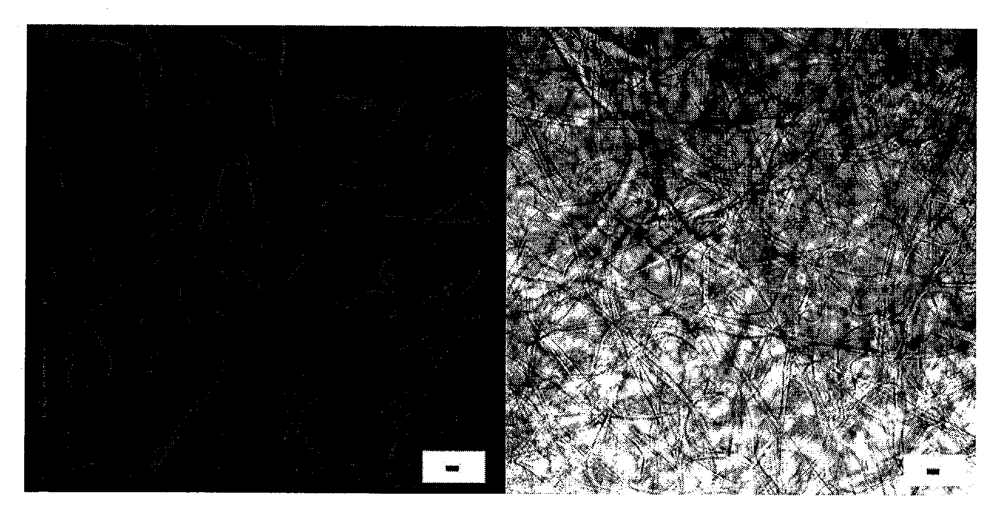 Polymeric materials incorporating core-shell silica nanoparticles