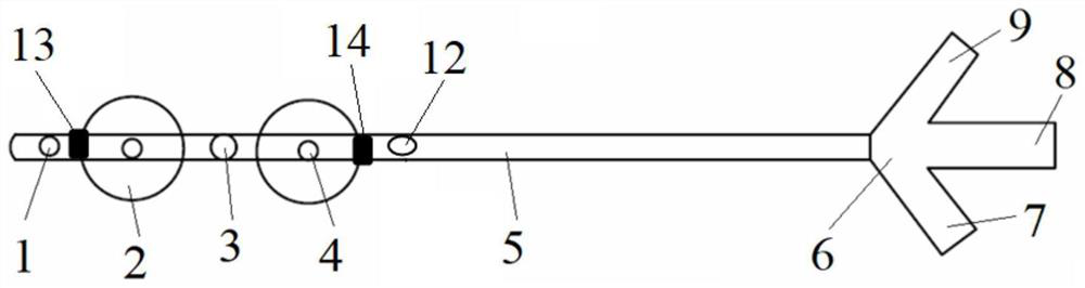 Local photodynamic therapy balloon drainage catheter system used in biliary tract cavity