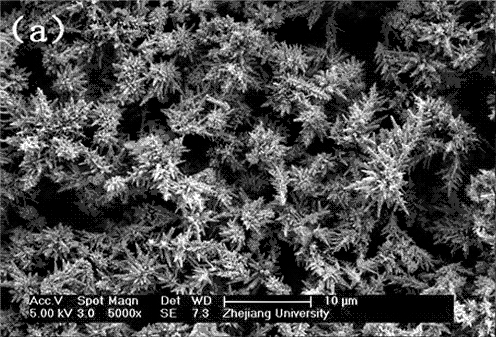 Method for preparing pine-like cadmium sulfide from ethylenediamine type ionic liquid