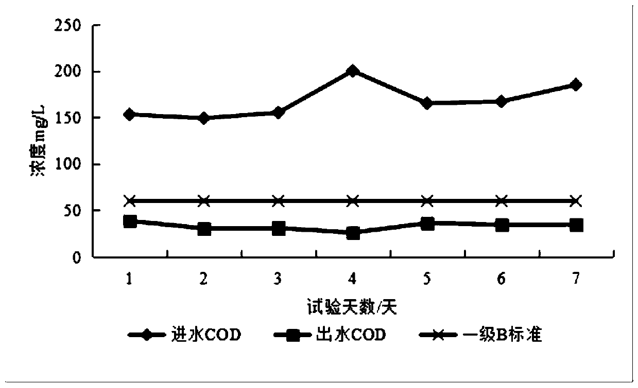 Efficient sewage treatment agent in low-temperature environment and method for treating sewage by using same