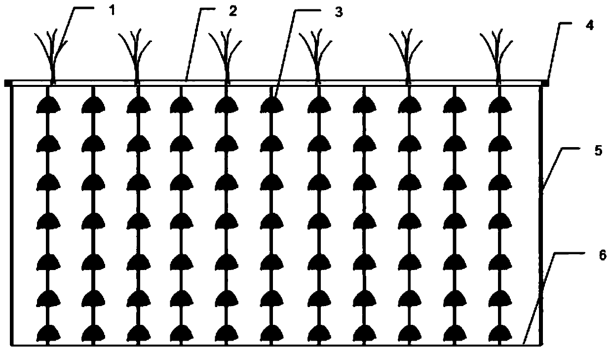 System for purifying eutrophic water employing artificial flow aeration coupled to biological film floating bed