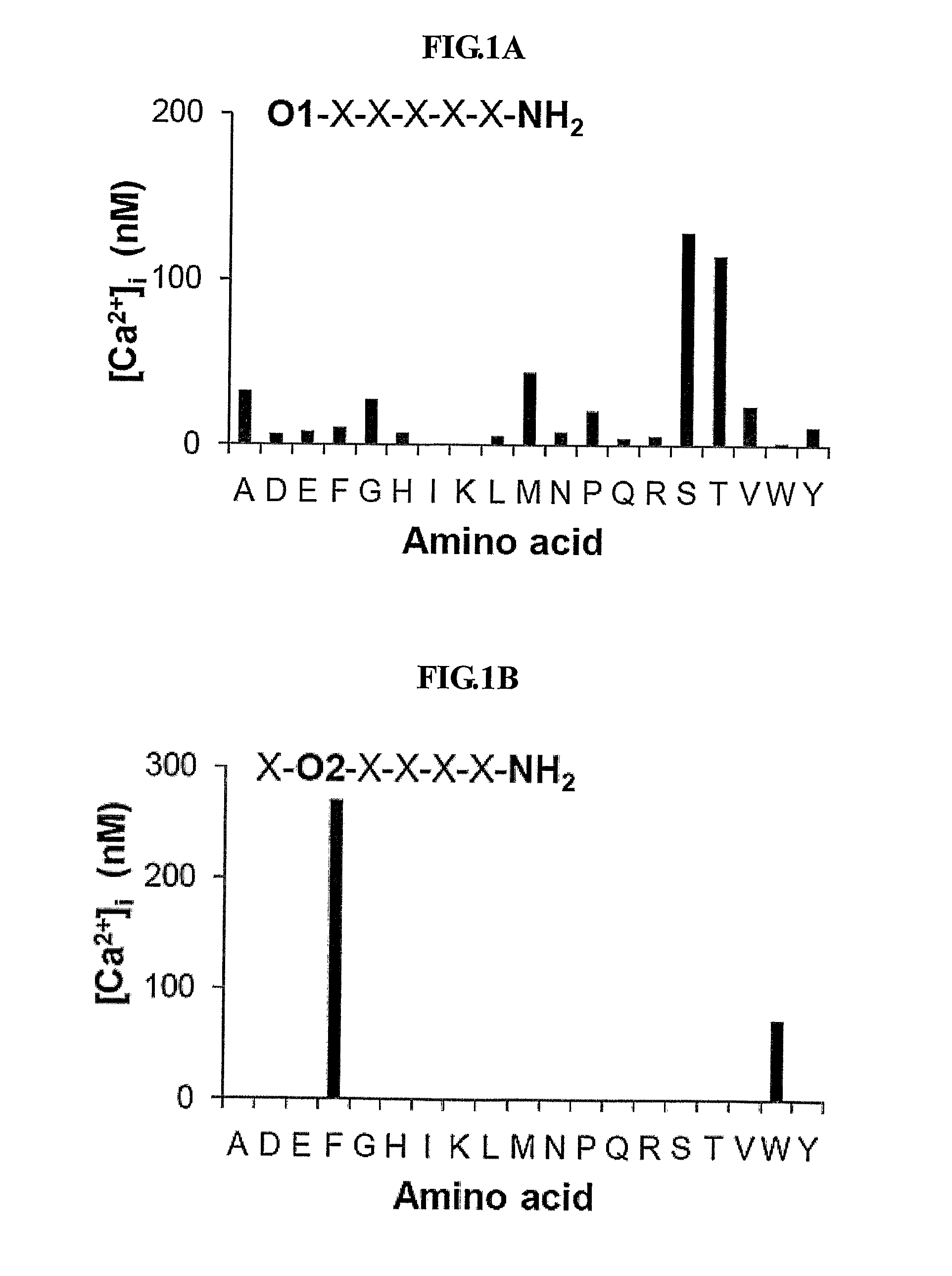 Angiogenic peptide