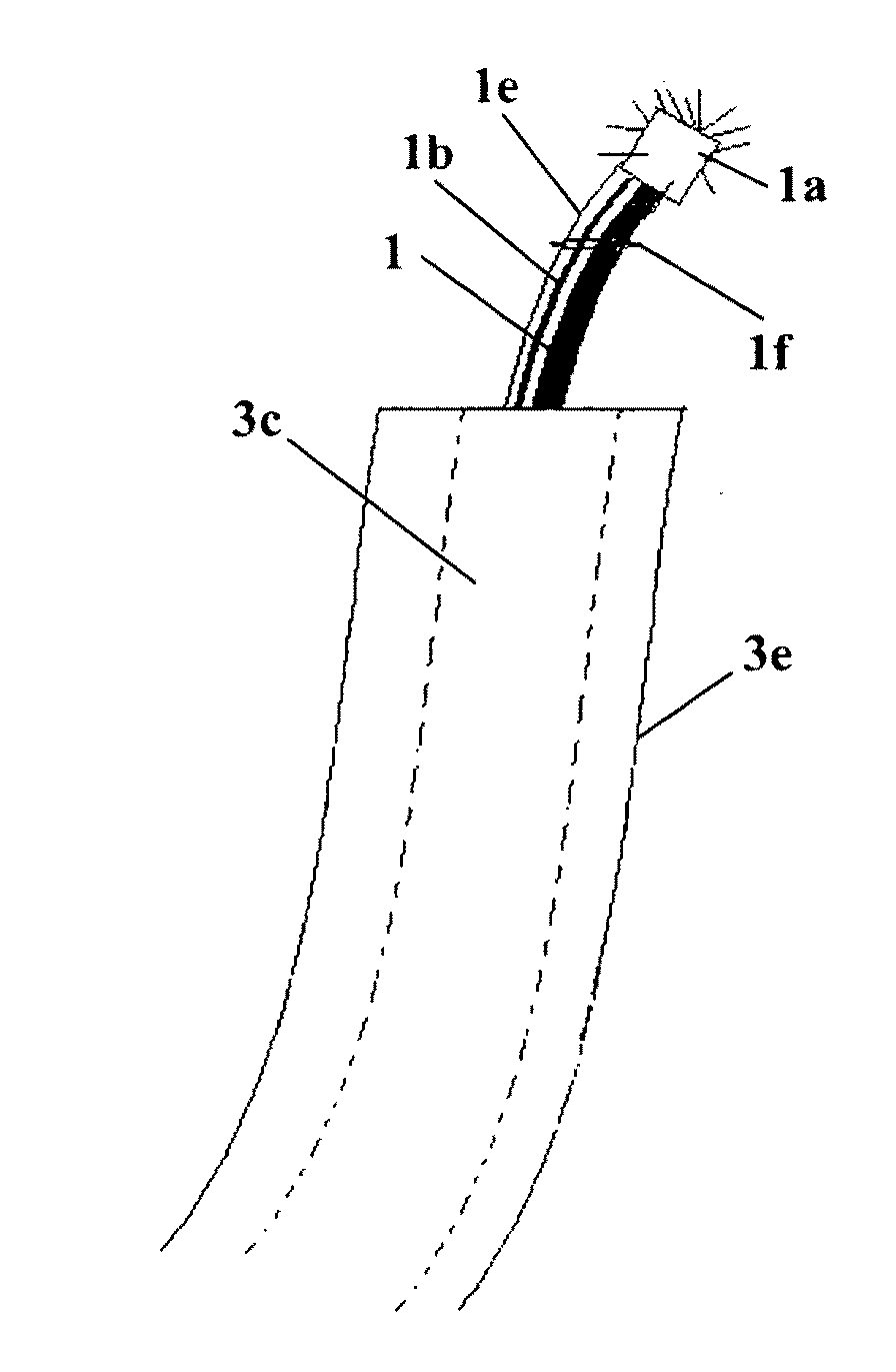 Body passage cleansing device