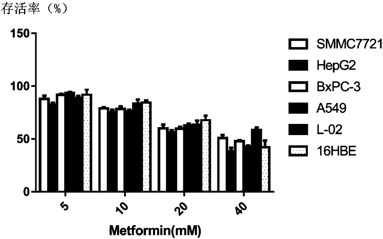 Application of compound preparation of ascorbic acid and metformin in preparing chemotherapeutic drug