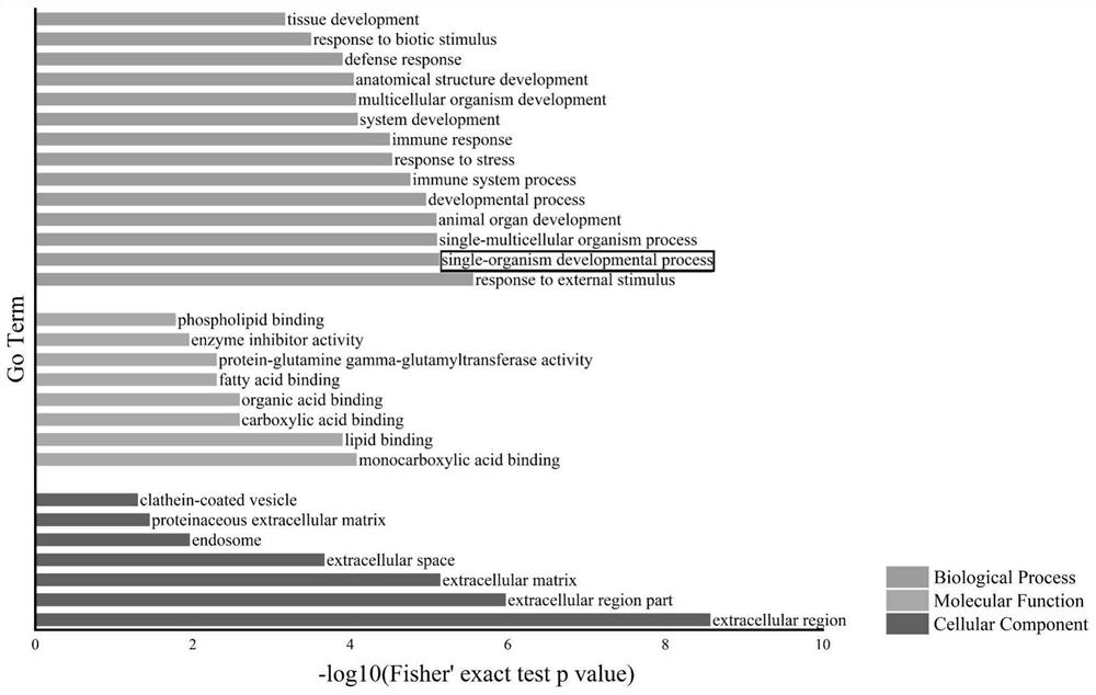 New application of doublecortin-like kinase 1