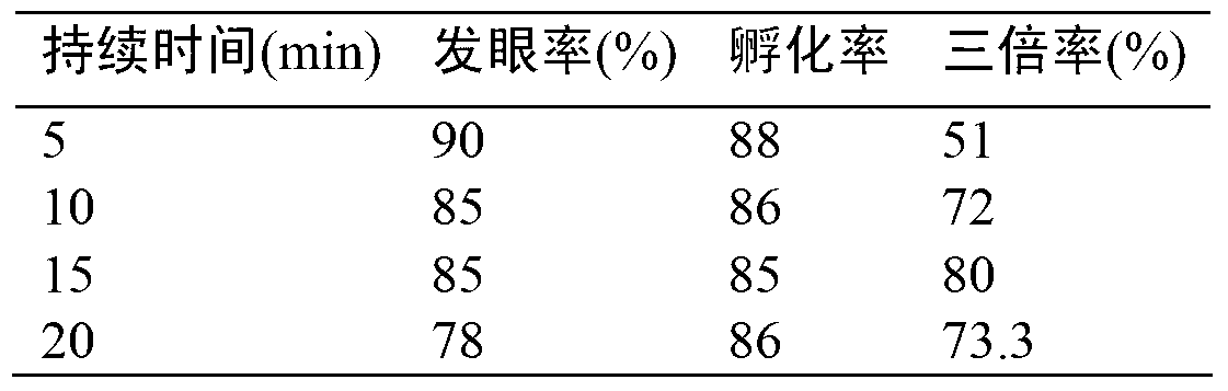 Production method of Oncorhynchus Mykiss triploid fry