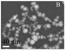 Saliva diagnostic sensor and preparation method and application thereof