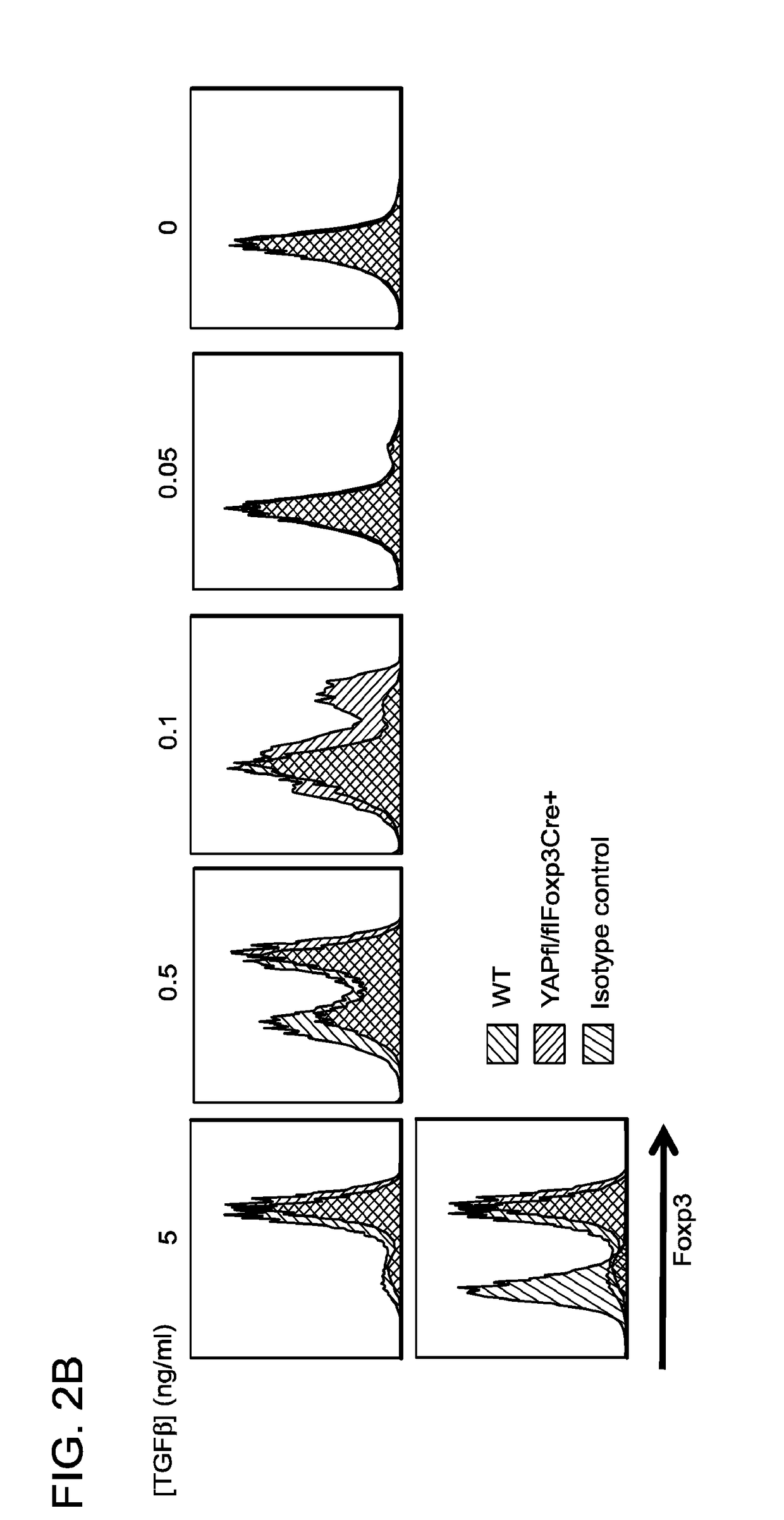 Compositions and methods for targeting activin signaling to treat cancer