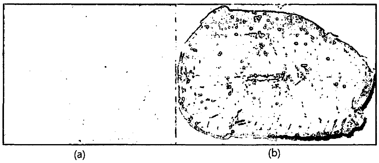 Purification method of organic substance used as material of organic light-emitting element