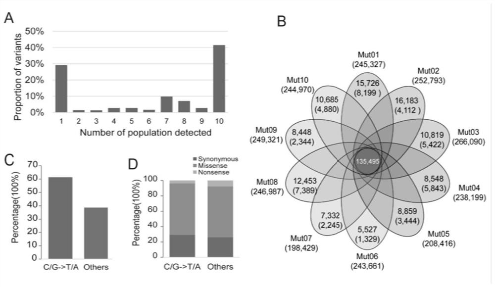 M2 group-based candidate causal mutation site gene localization method