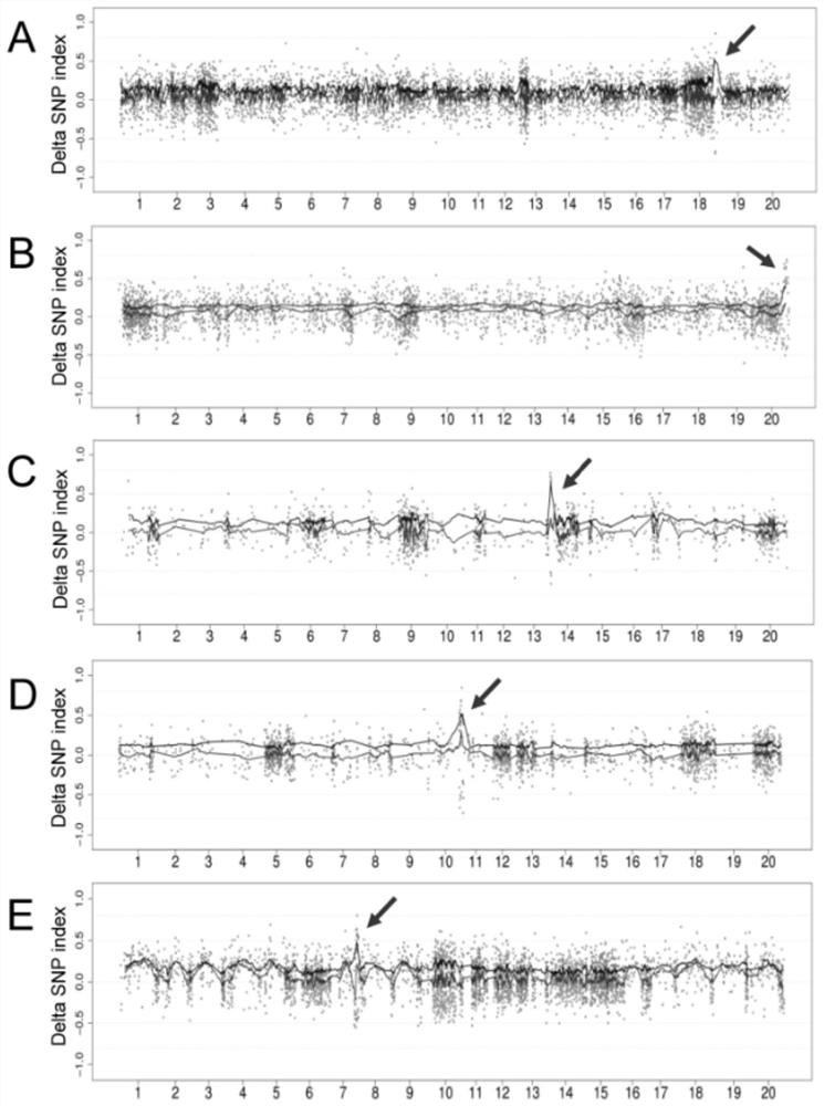 M2 group-based candidate causal mutation site gene localization method