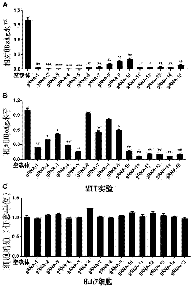 Guide RNA targets for the treatment of hepatitis B virus infection