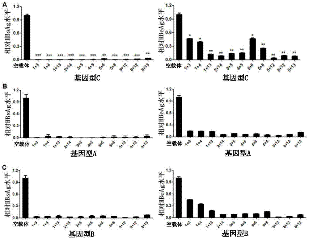 Guide RNA targets for the treatment of hepatitis B virus infection