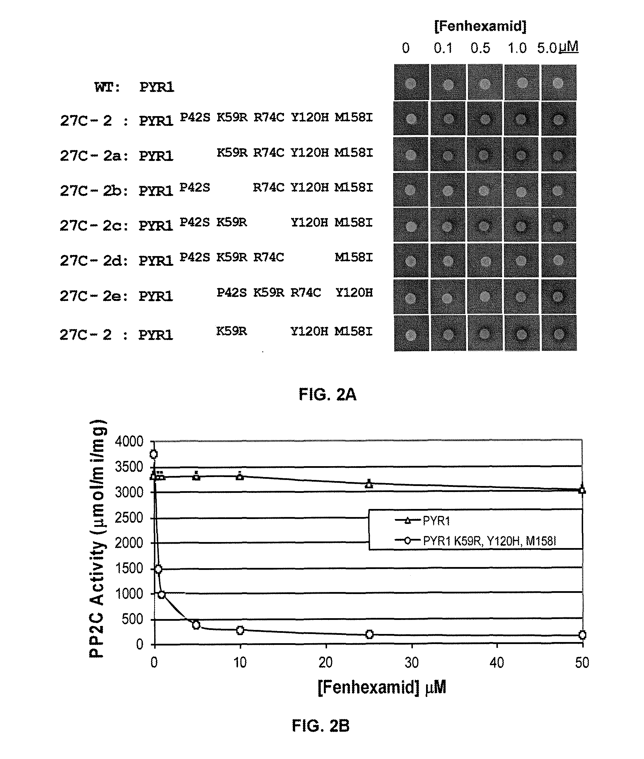 Modified pyr/pyl receptors activated by orthogonal ligands