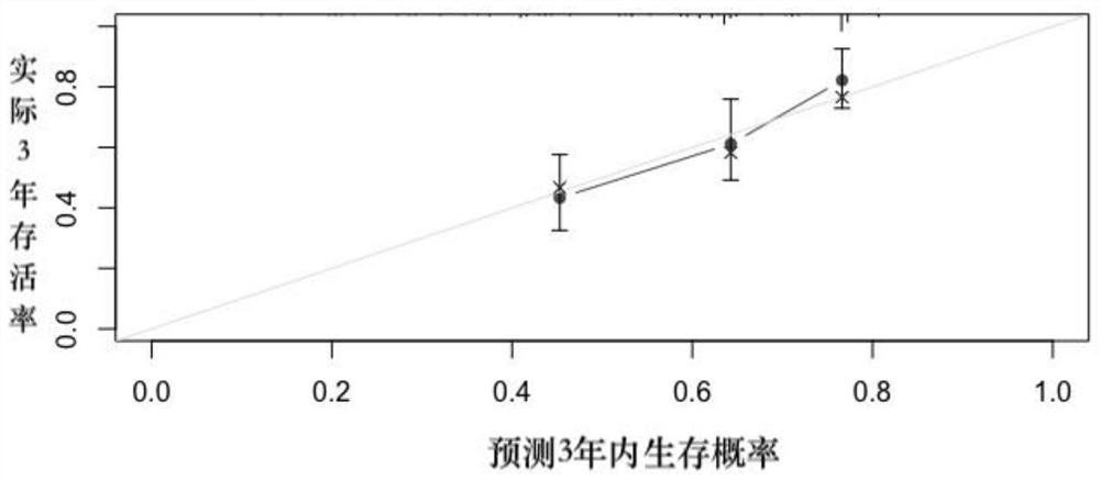 Prediction model for survival benefit of metastatic kidney cancer patients after systematic treatment and an establishment method and application thereof