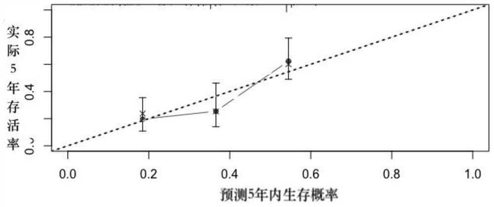 Prediction model for survival benefit of metastatic kidney cancer patients after systematic treatment and an establishment method and application thereof