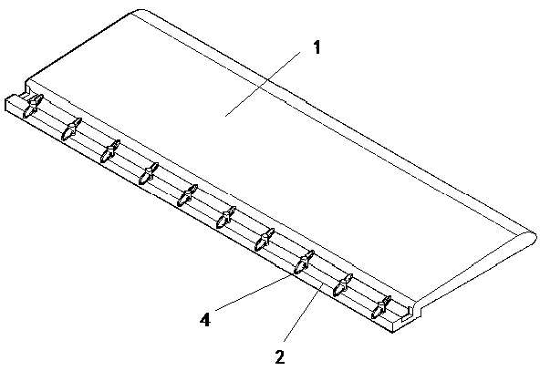 Novel wing