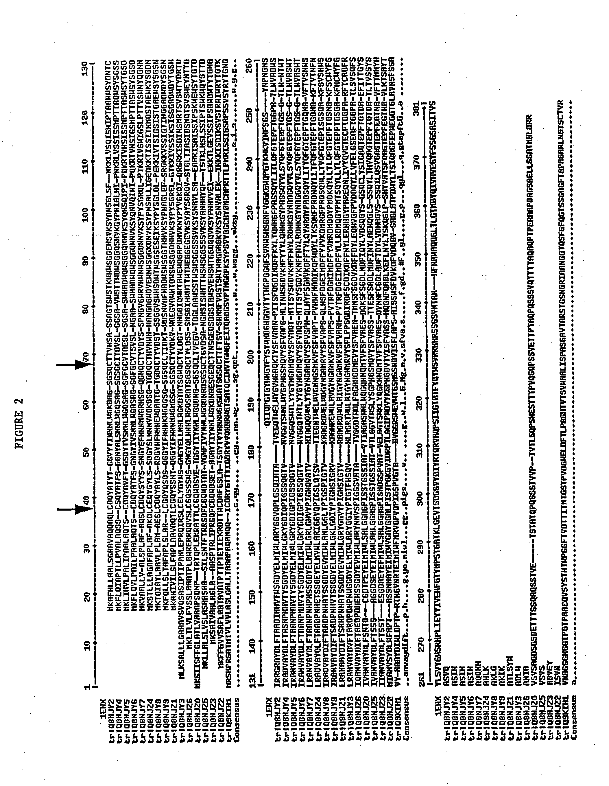 Modified enzymes, methods to produce modified enzymes and use thereof