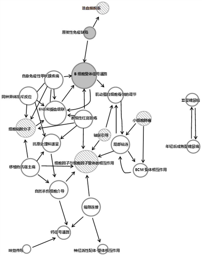 Method for preparing universal immune cells and application of universal immune cells