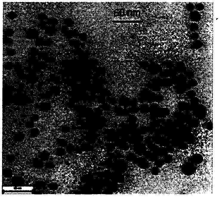 Rhodamine B modified gold nanoparticle probe capable of performing visual detection on Dursban and hydrolysis product thereof, and preparation method of probe