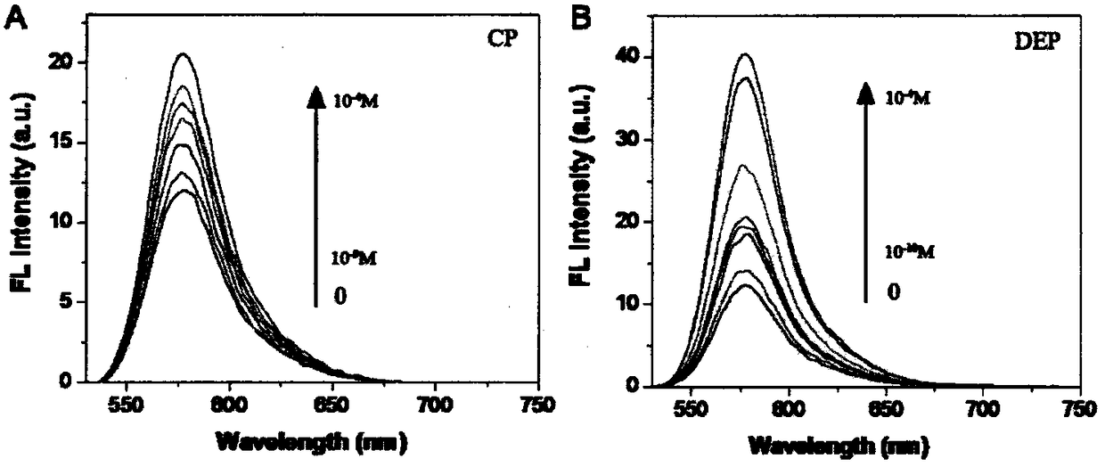 Rhodamine B modified gold nanoparticle probe capable of performing visual detection on Dursban and hydrolysis product thereof, and preparation method of probe