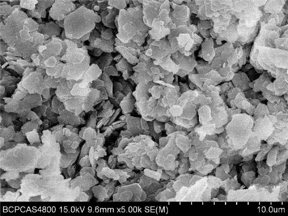 Dissociation method of coal-series hard kaolinite rock lamella