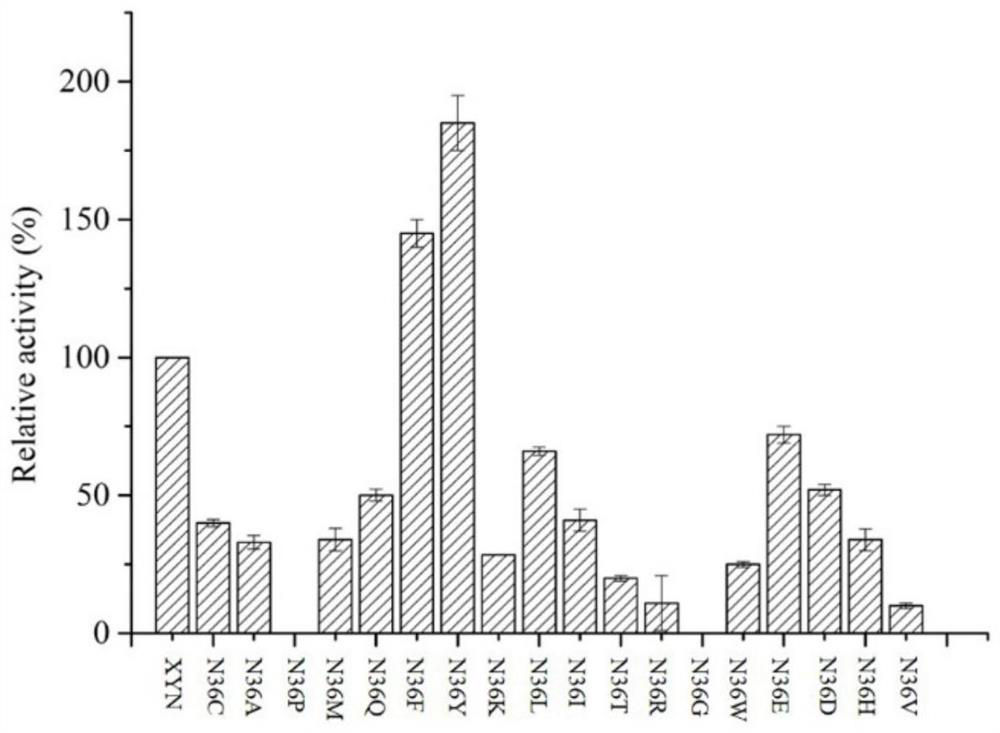 A kind of high specific enzyme activity xylanase mutant and its application