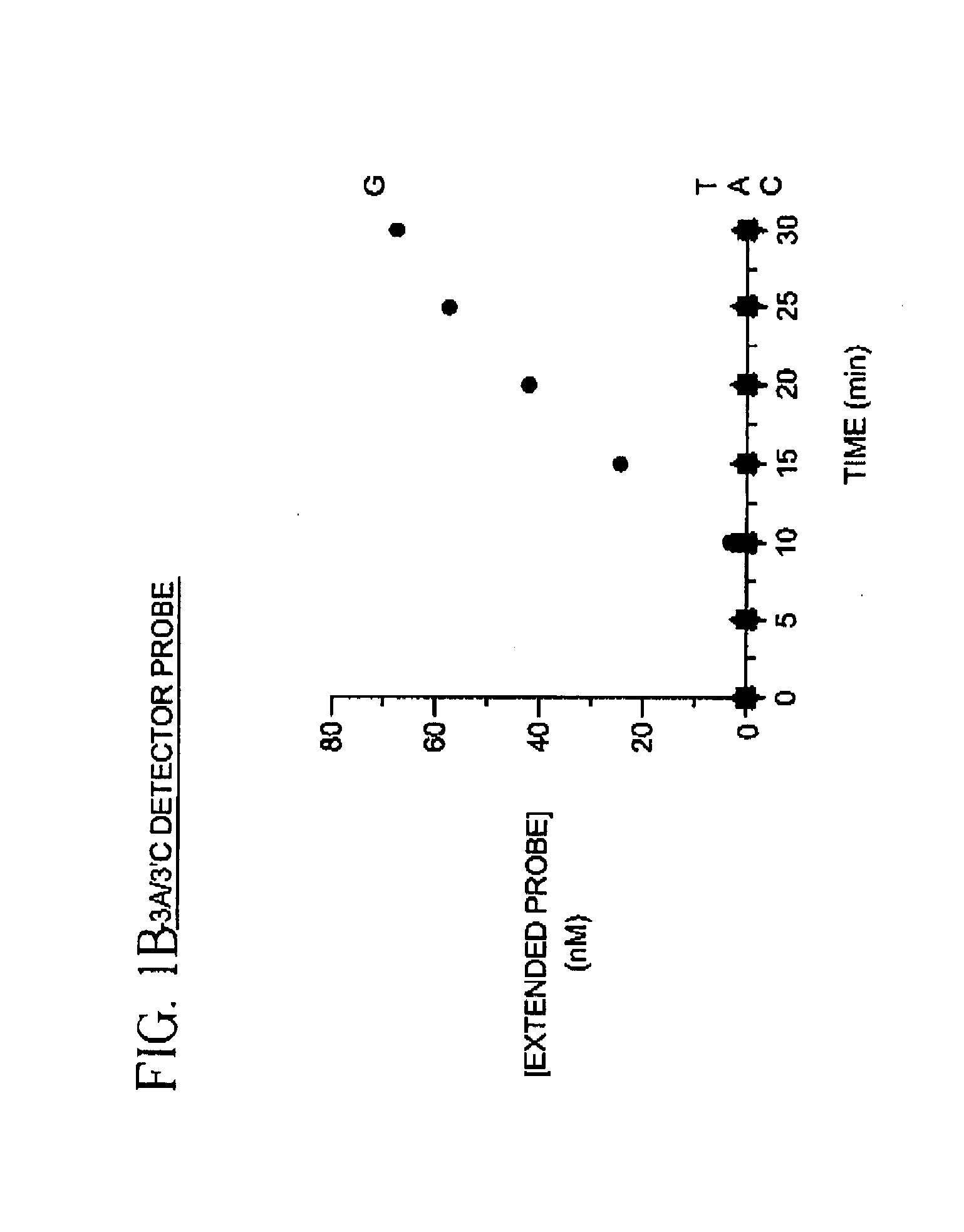 Methods for detecting single nucleotide polymorphisms