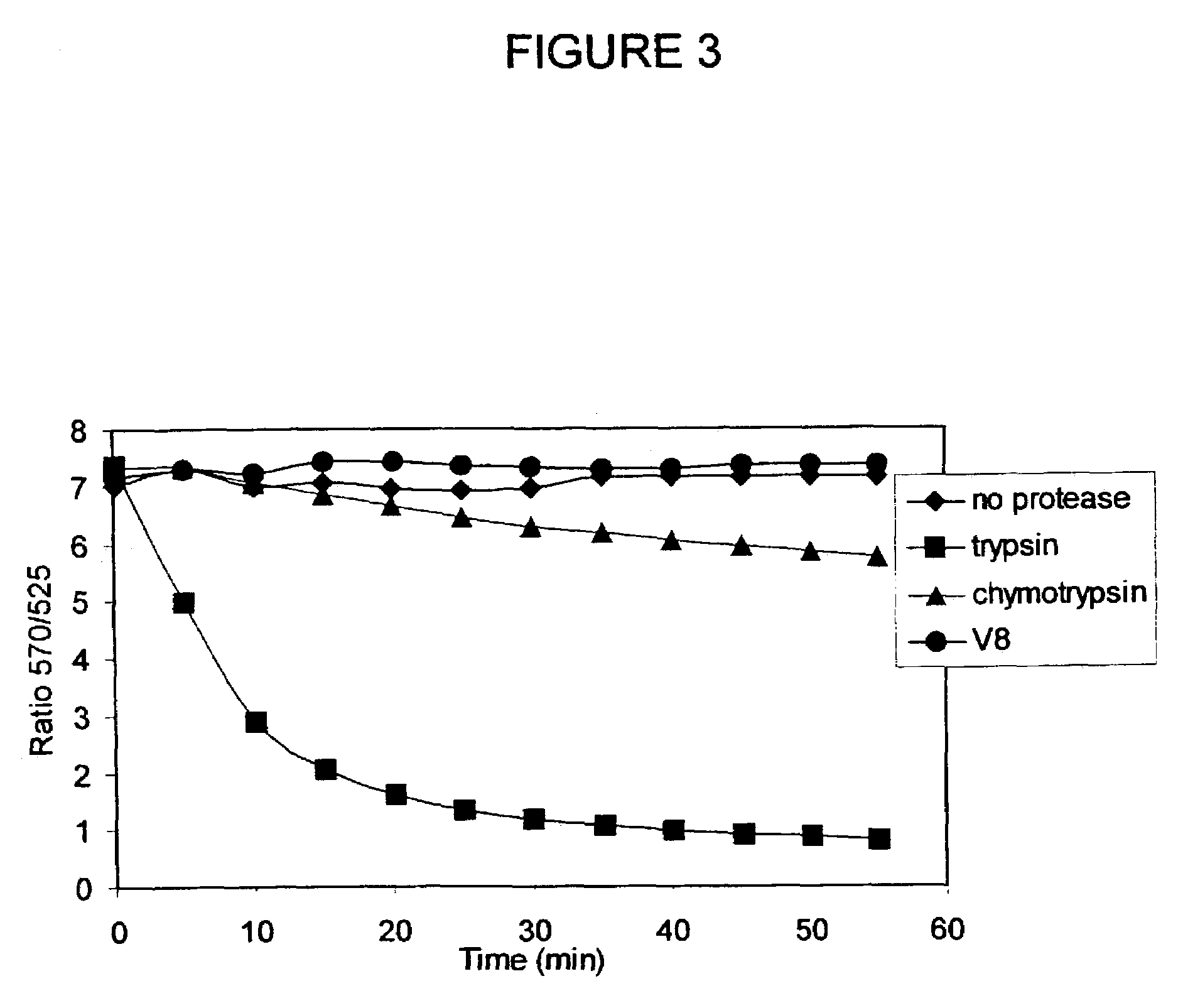 Peptide biosensors for anthrax protease