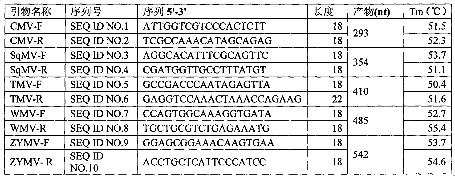 Method for rapidly detecting various viruses of melons