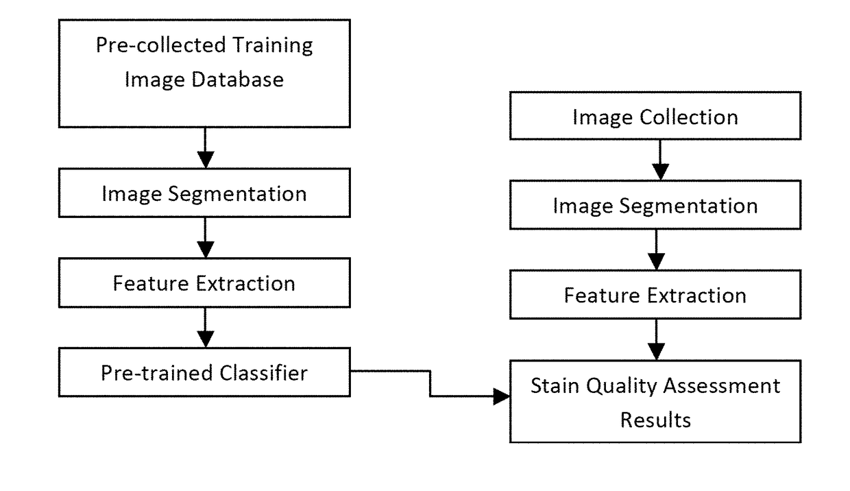 Methods and Systems for Assessing Histological Stains