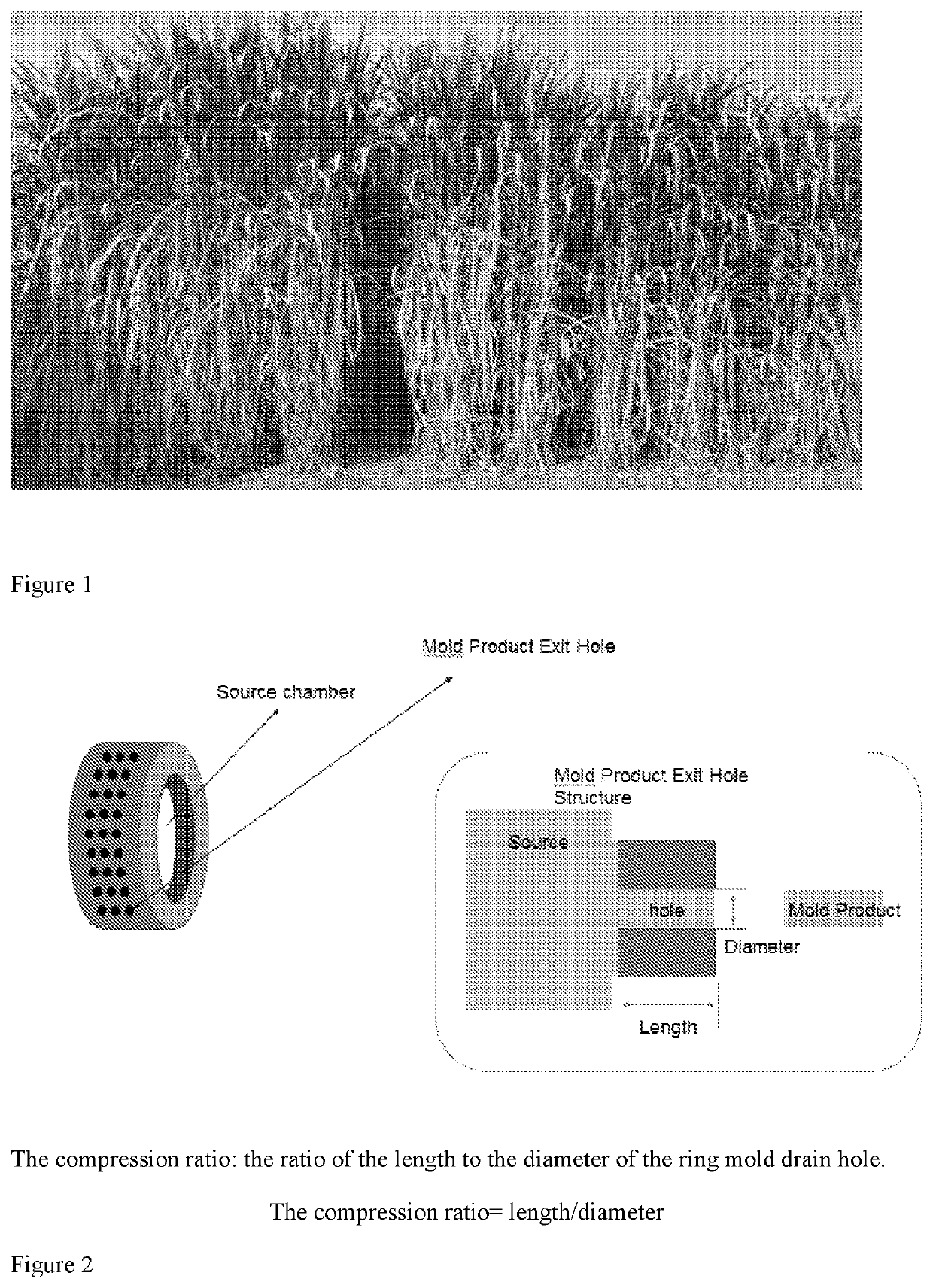 Process for producing solid biomass fuel