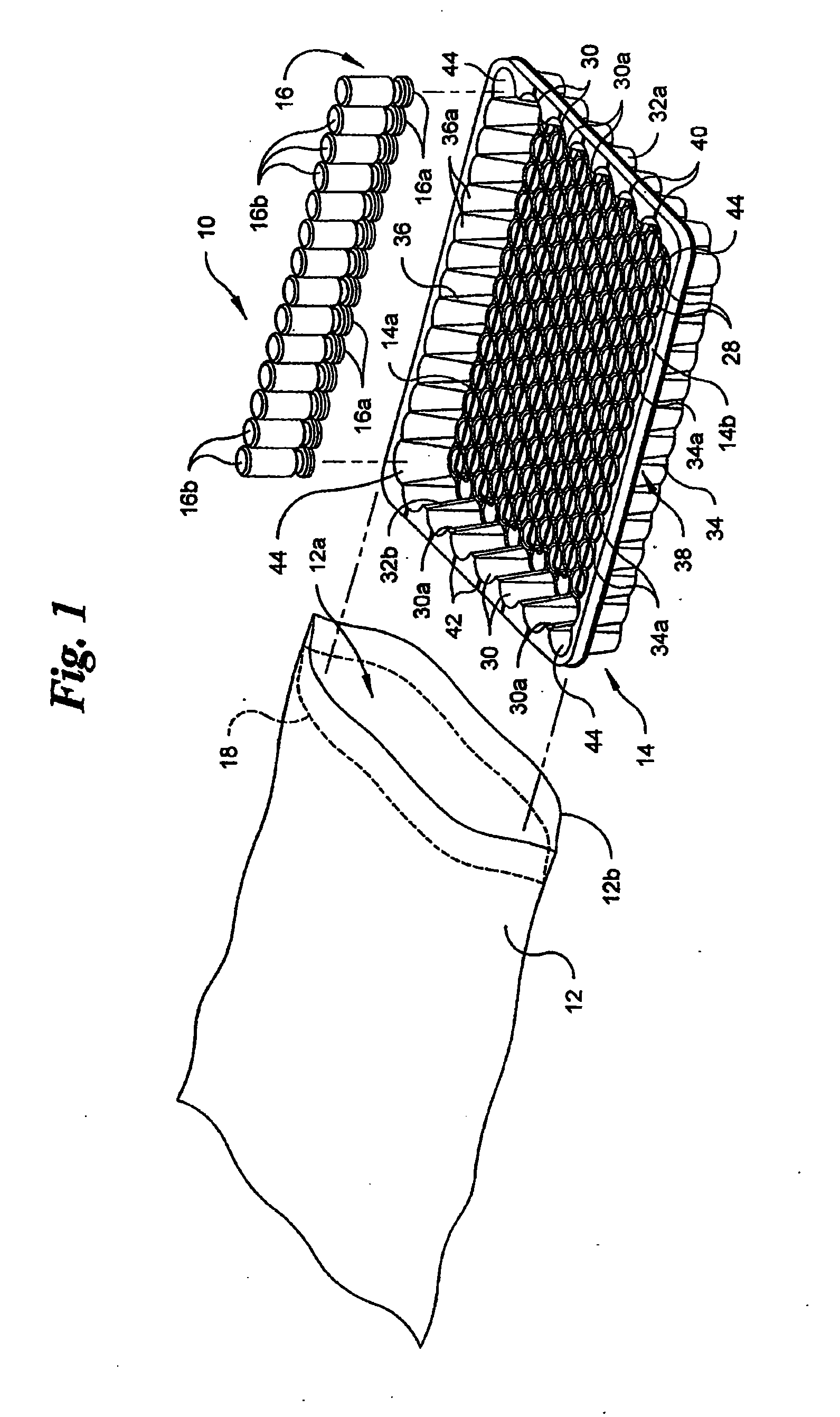 Vacuum Package System