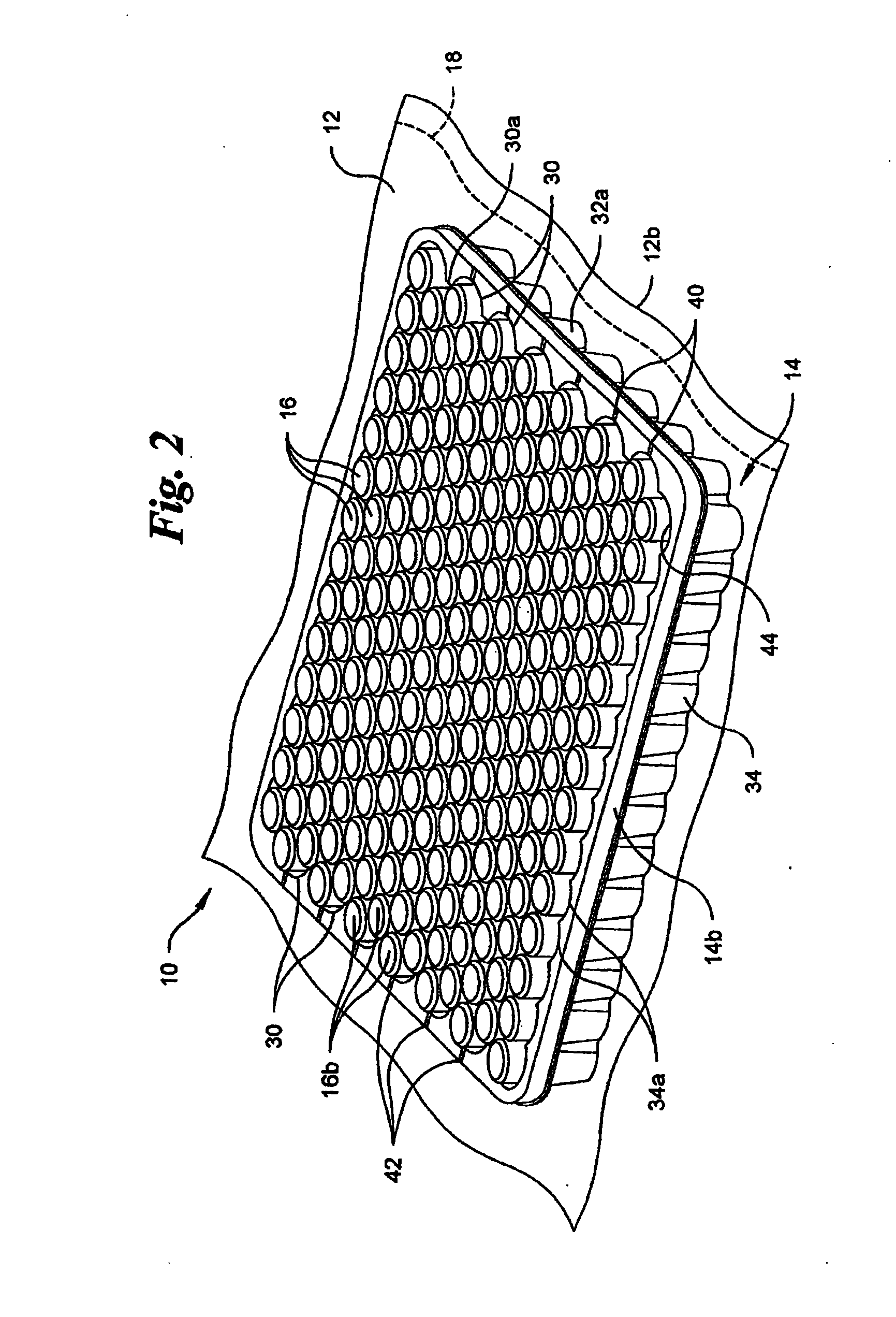 Vacuum Package System