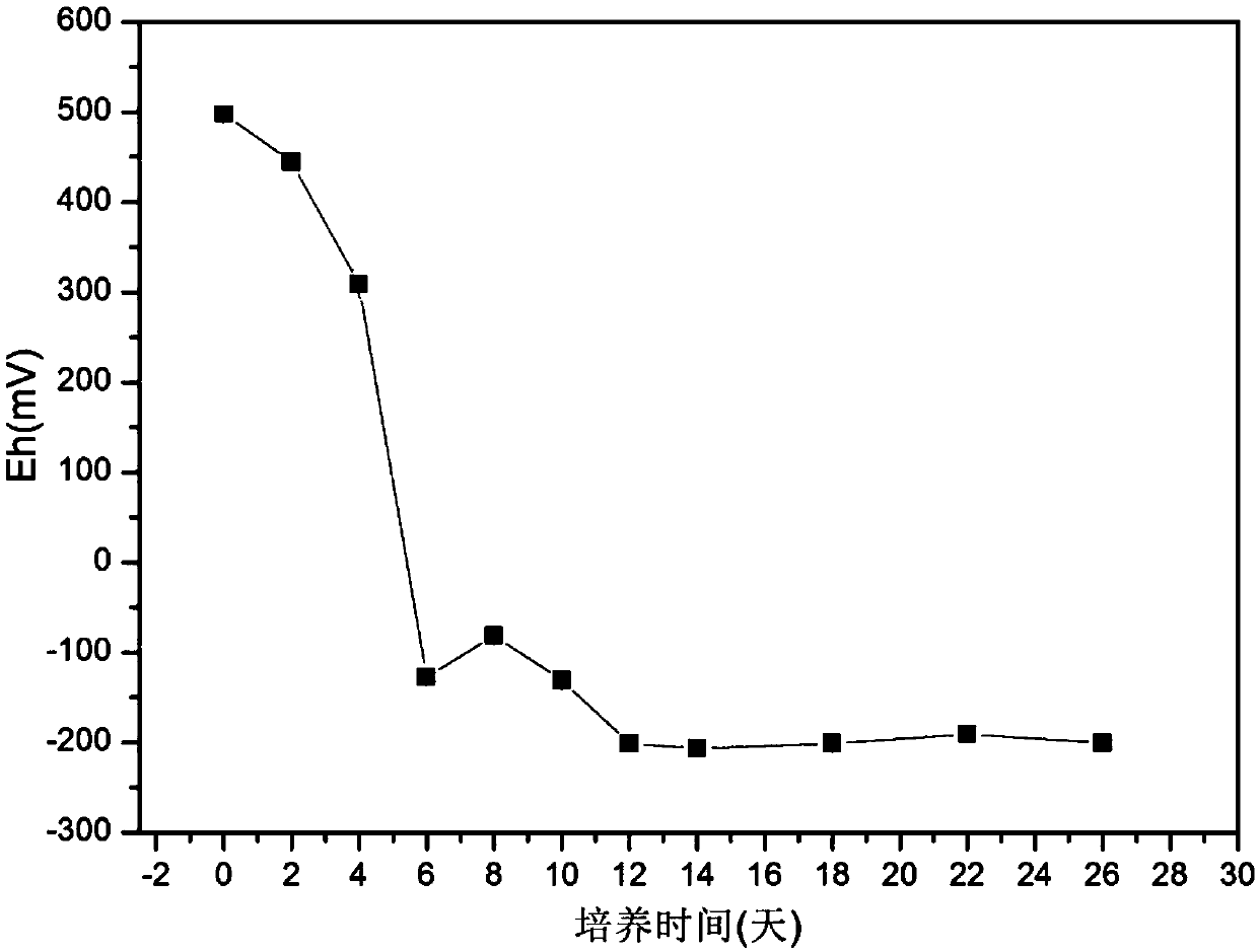 Device and method for researching continuous succession rule of soil oxidation-reduction intensity