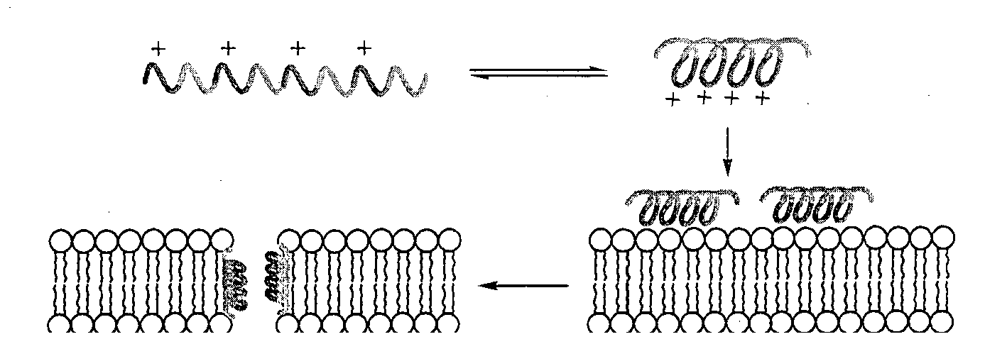 An antimicrobial composition