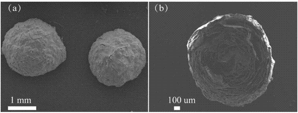 Porous interpenetrating network poly N-isopropylacrylamide/zirconium alginate gel ball, and preparation method and application thereof