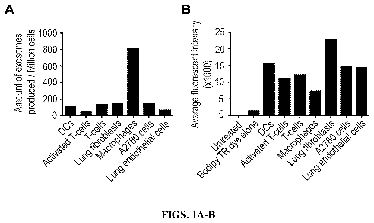 Hybrid exosomal-polymeric (HEXPO) nano-platform for delivery of rnai therapeutics